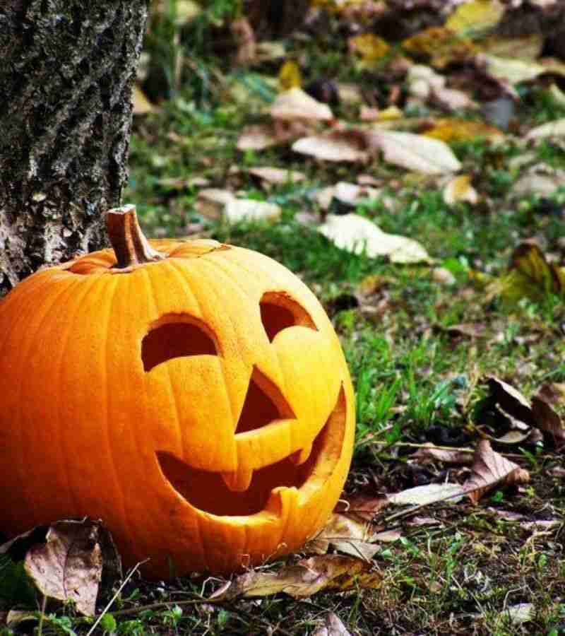 Classic Jack-o’-Lantern