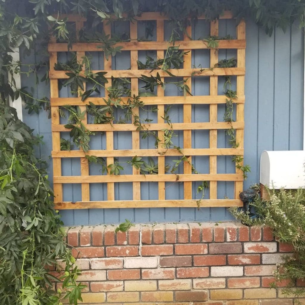 DIY Trellis 12