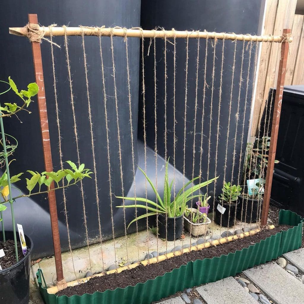 DIY Trellis 18