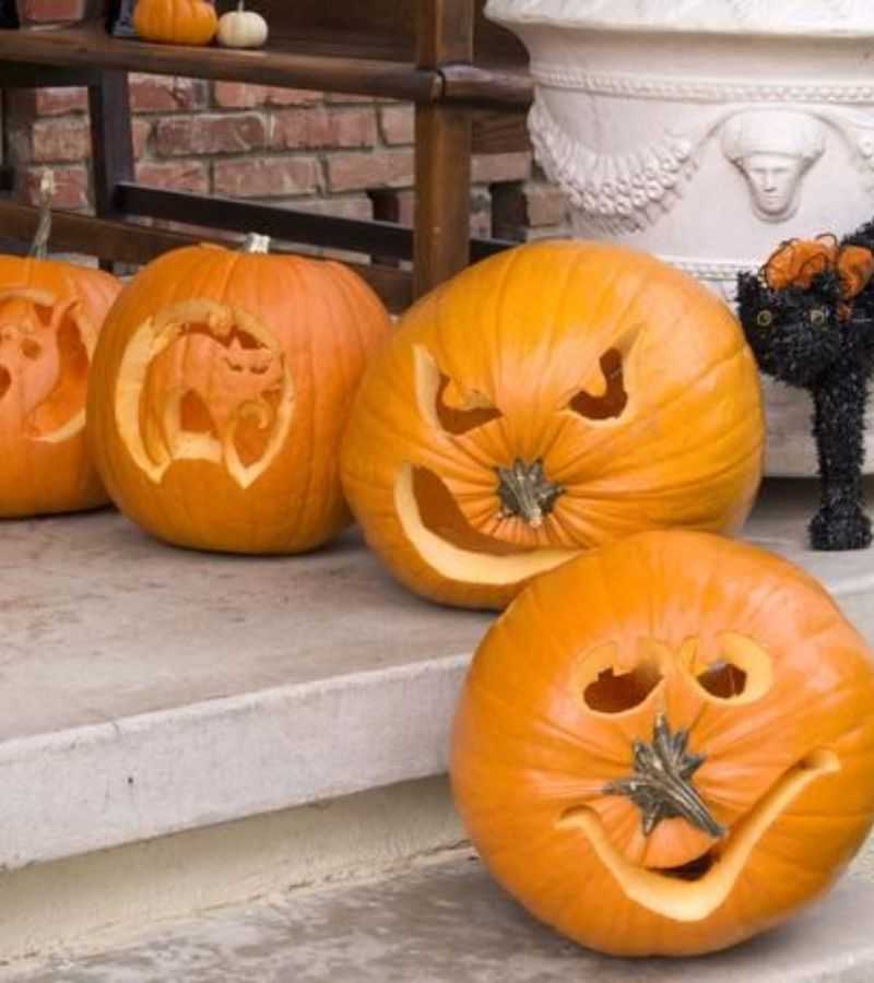 Pumpkin Family